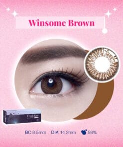 FreshKon Alluring Eyes 1Day Winsome Brown