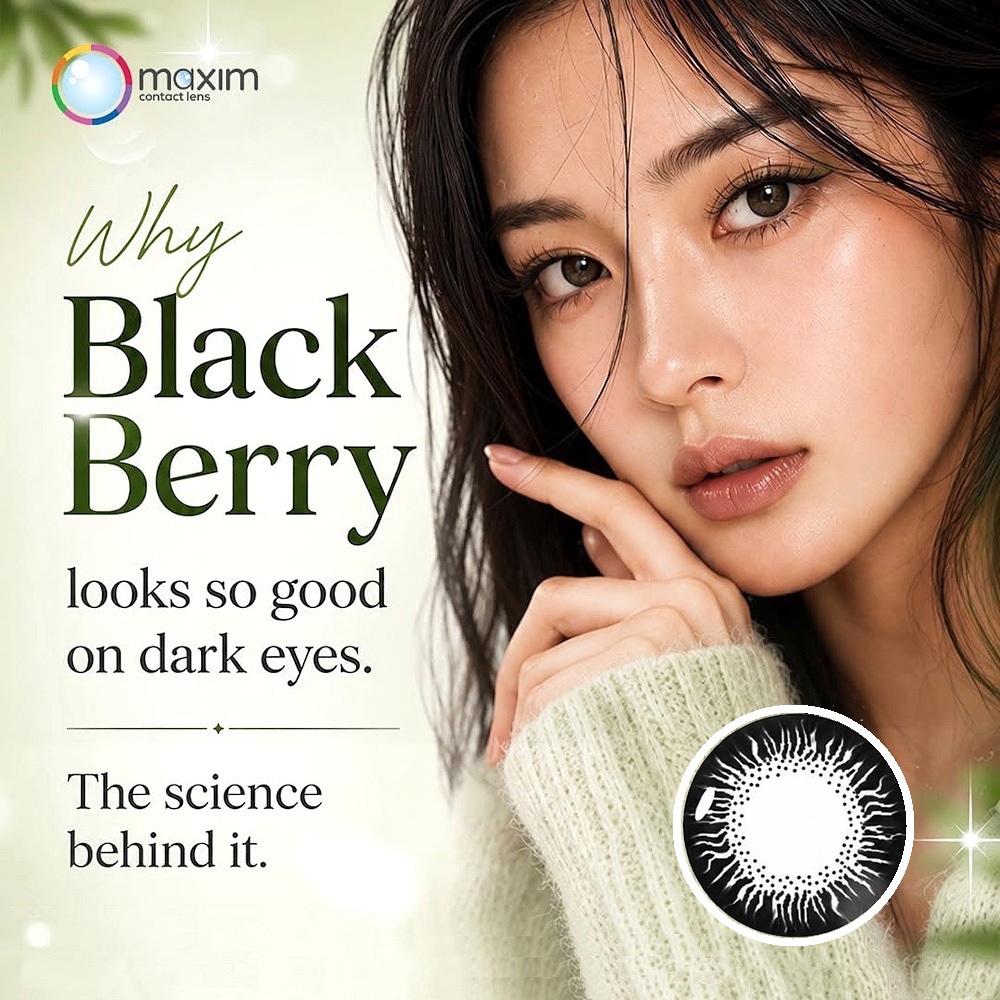 Maxim Colour 1Day Green Box Black Berry Color