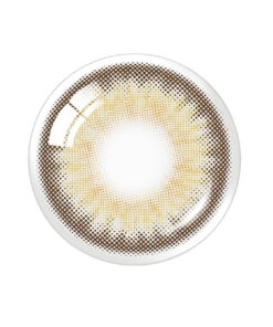 Spanish Circle Brown Monthly