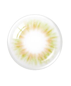 Spanish Real Olive Monthly