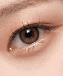 ViVi Ring Brown Monthly Lens