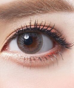 Olens Someday Gray Monthly Lenses