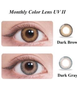 SEED Monthly Colour Lens UV II