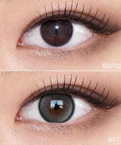Olens Secret Tint Gray Monthly Lenses